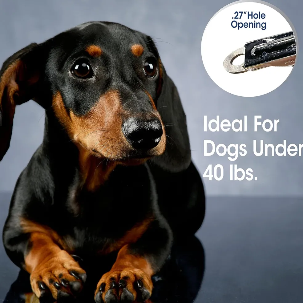Four Paws Magic Coat Professional Series Small Nail Trimmer for Dogs & Cats