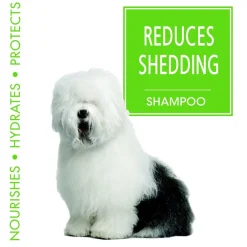 Four Paws Magic Coat Reduces Shedding Shampoo for Dogs, Honey Vanilla Scent, 16-fl oz