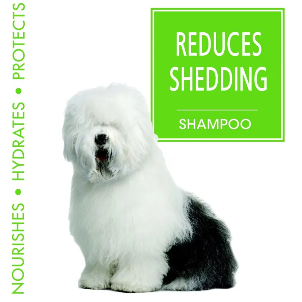 Four Paws Magic Coat Reduces Shedding Shampoo for Dogs, Honey Vanilla Scent, 16-fl oz
