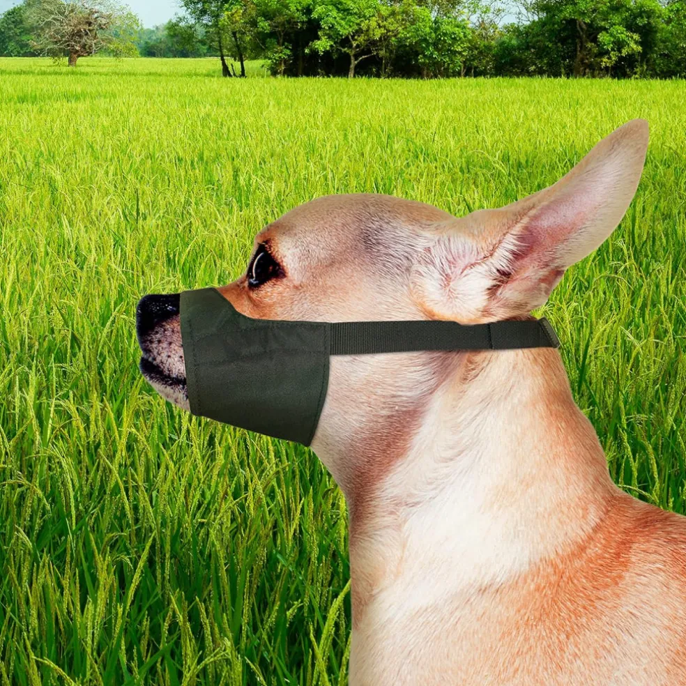 Four Paws Quick-Fit Muzzle For Dogs