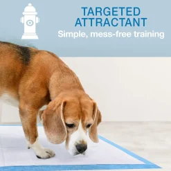 Four Paws Wee-Wee Odor Control Dog Training Pads with Febreze Freshness- 22x23