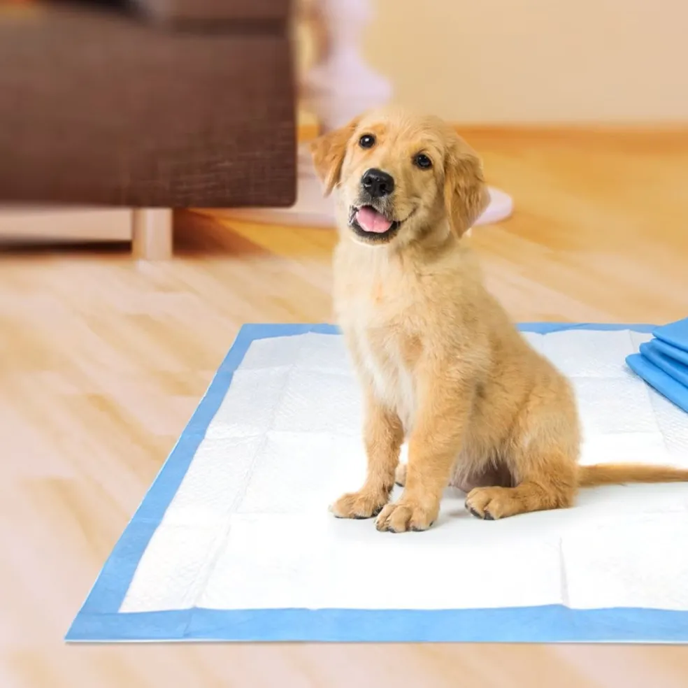 Four Paws Wee-Wee Superior Performance Standard Dog Pee Pads - 22"x23" inch