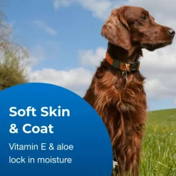 Fresh 'n Clean Waterless Shampoo For Dogs -Classic Fresh Scent (12 oz)