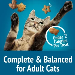 Friskies Party Mix Beachside Crunch Cat Treats