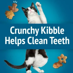 Friskies Party Mix Beachside Crunch Cat Treats
