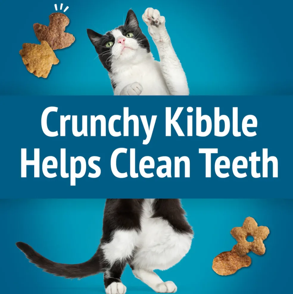 Friskies Party Mix Beachside Crunch Cat Treats