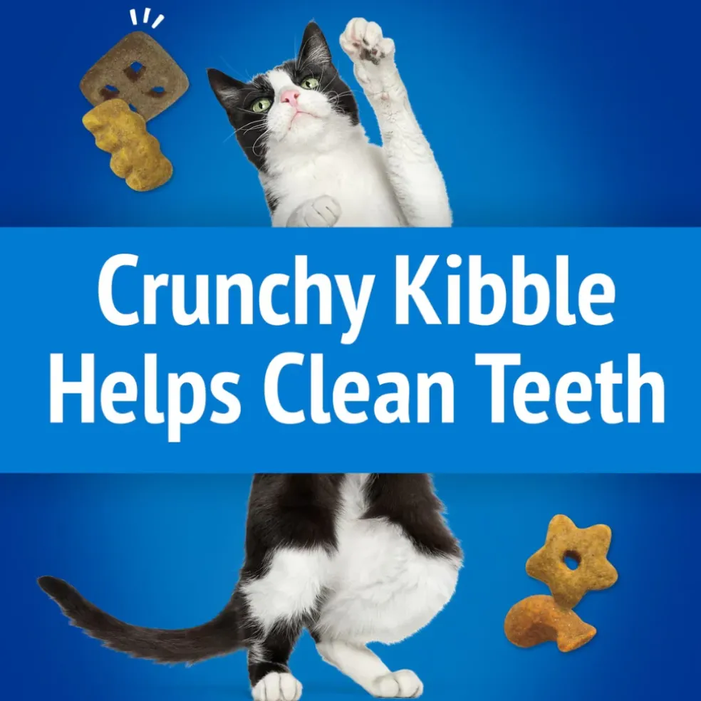 Friskies Party Mix Beachside Crunch Cat Treats