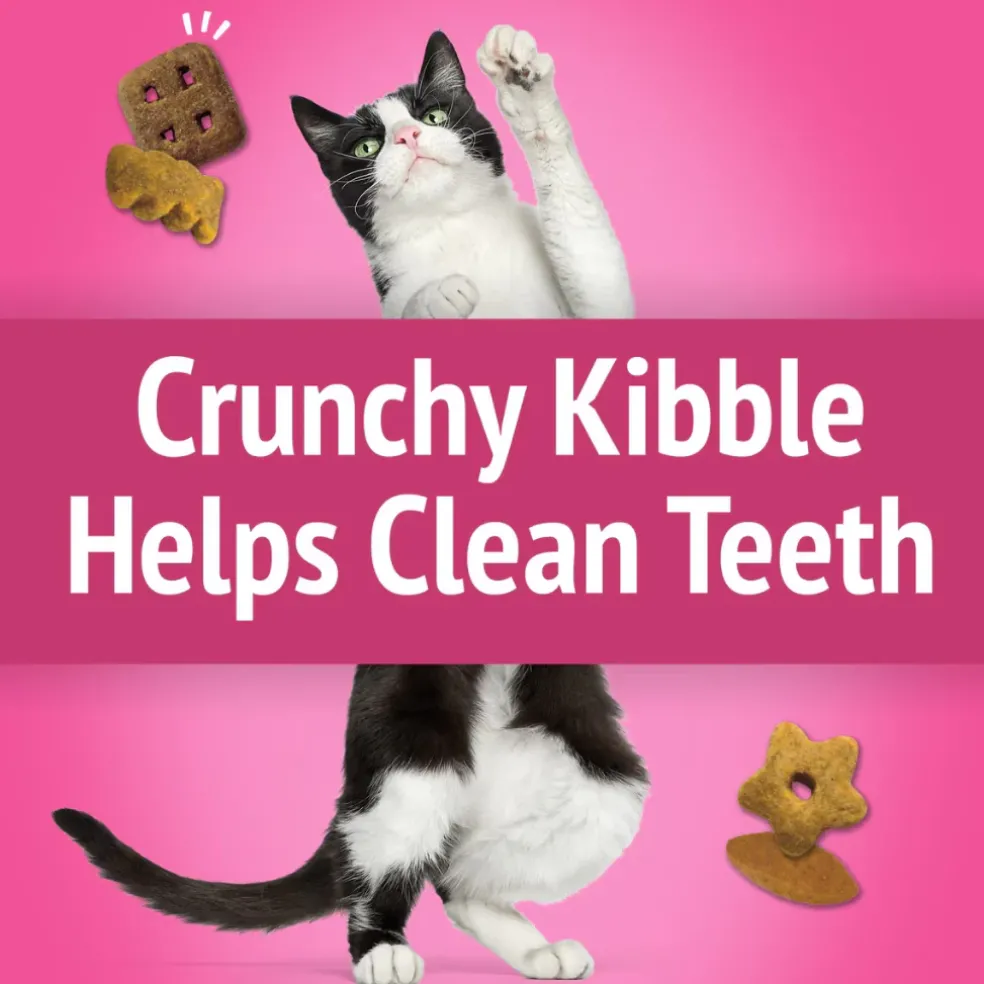 Friskies Party Mix California Crunch Cat Treats