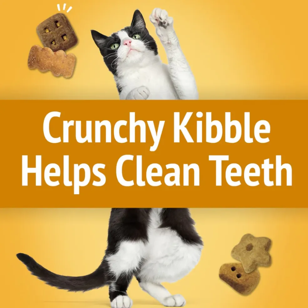 Friskies Party Mix Cheezy Craze Crunch Cat Treats