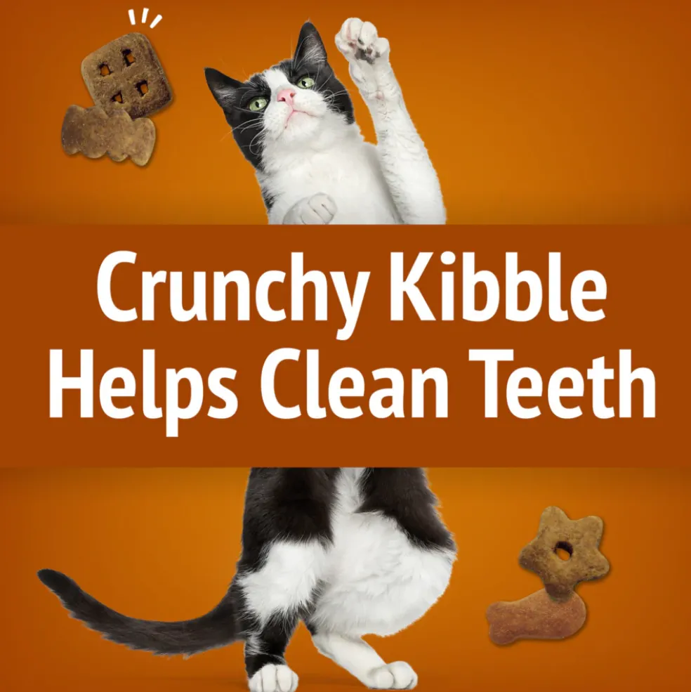 Friskies Party Mix Chicken Lovers Crunch Cat Treats