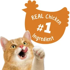 Friskies Party Mix Chicken Lovers Crunch Cat Treats (20oz)