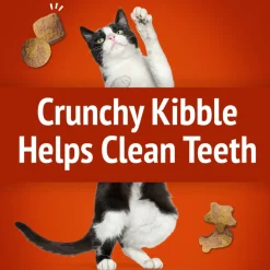 Friskies Party Mix Gravy-Licious Crunch Chicken & Gravy Cat Treats