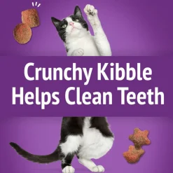 Friskies Party Mix Gravy-Licious Crunch Turkey & Gravy Cat Treats (2.1 oz)
