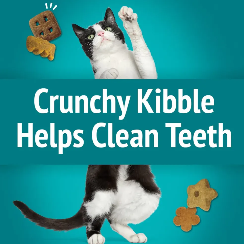 Friskies Party Mix Meow Luau Crunch Cat Treats (2.1 oz)
