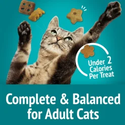 Friskies Party Mix Meow Luau Crunch Cat Treats (2.1 oz)