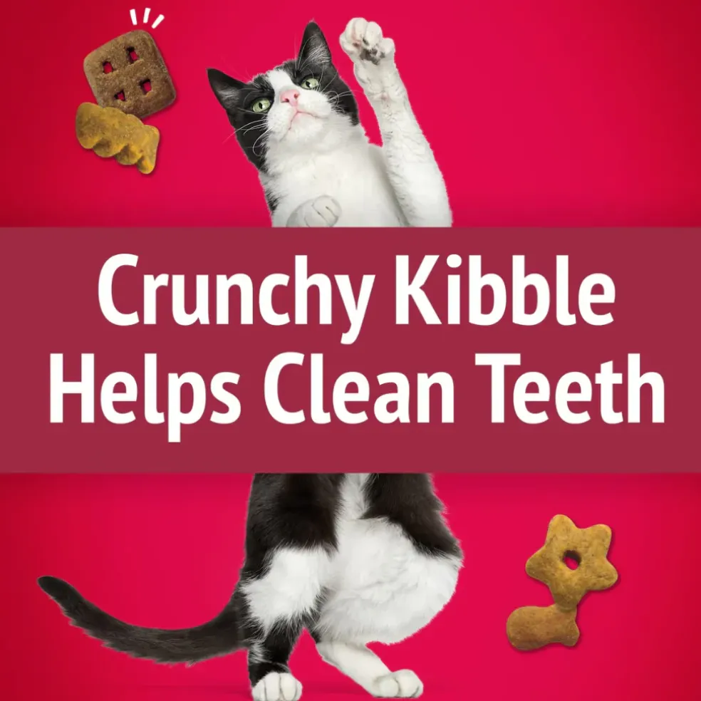 Friskies Party Mix Mixed Grill Crunch Cat Treats