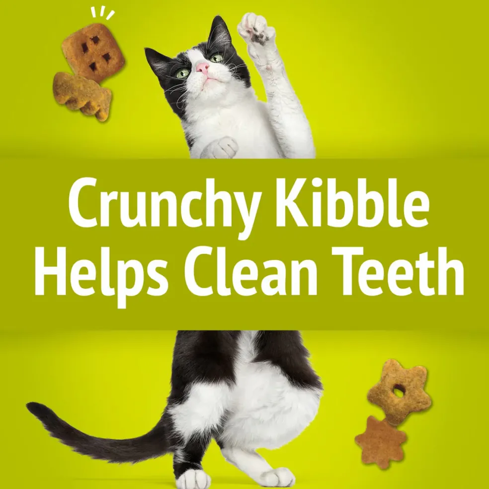 Friskies Party Mix Morning Much Crunchy Cat Treats (6 oz)