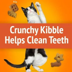 Friskies Party Mix Original Crunch Cat Treats