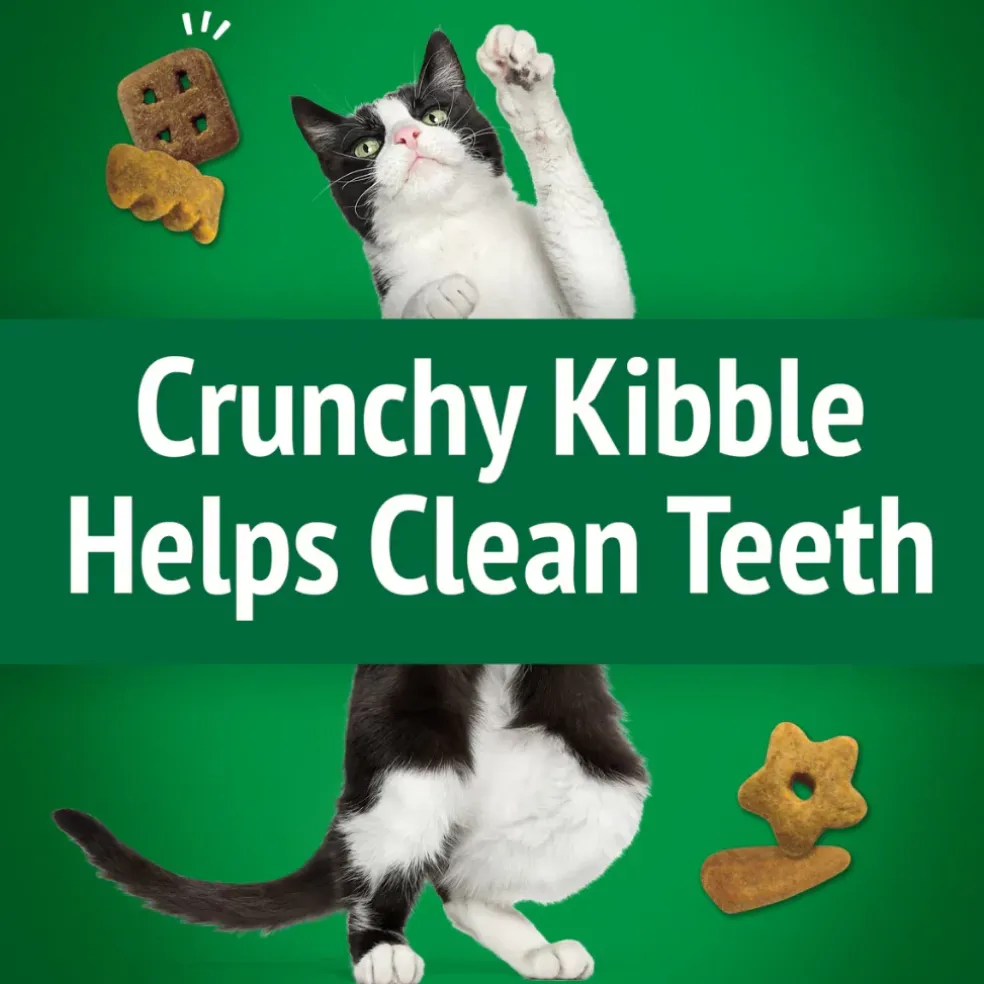 Friskies Party Mix Picnic Crunch Cat Treats (6 oz)