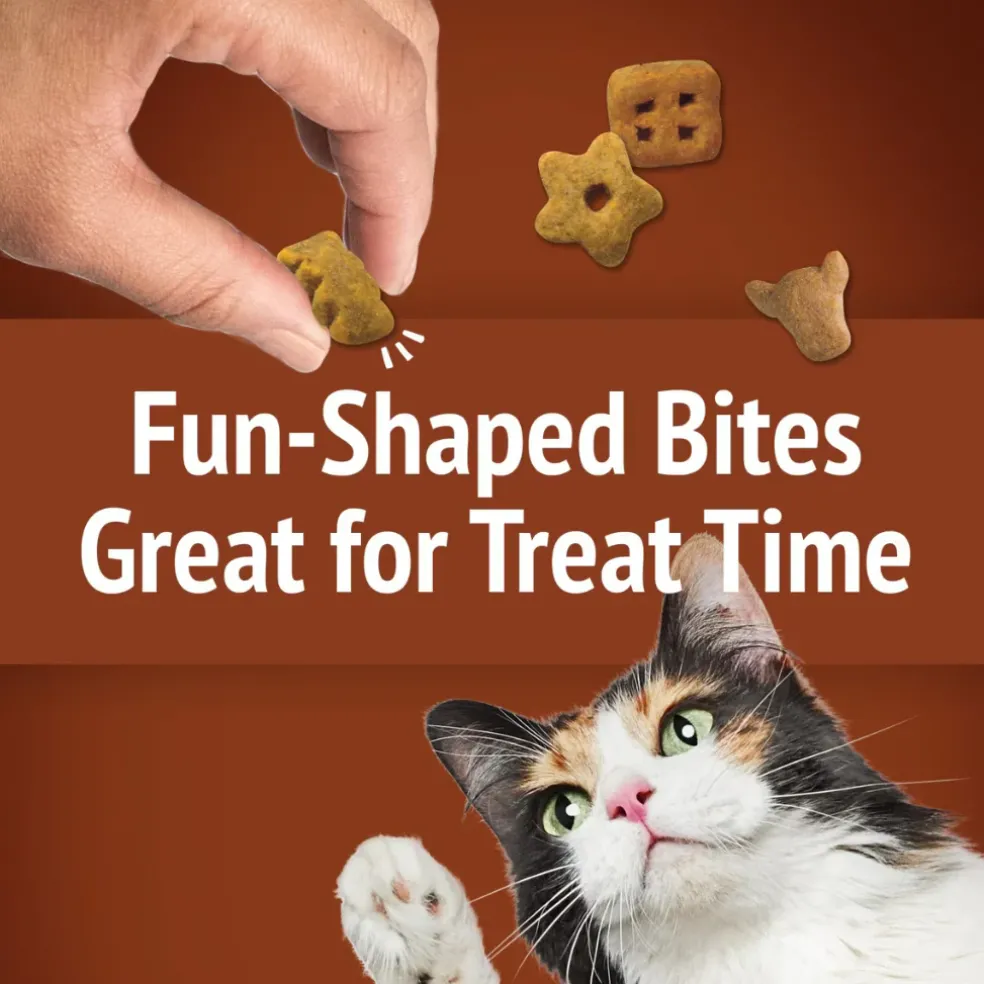 Friskies Party Mix Wild West Crunch Cat Treats (2.1 oz)