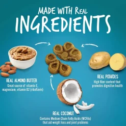 Fruitables BIGGIES Almond Butter & Coconut Dog Treats (16 oz)