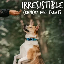 Fruitables BIGGIES Almond Butter & Coconut Dog Treats (16 oz)