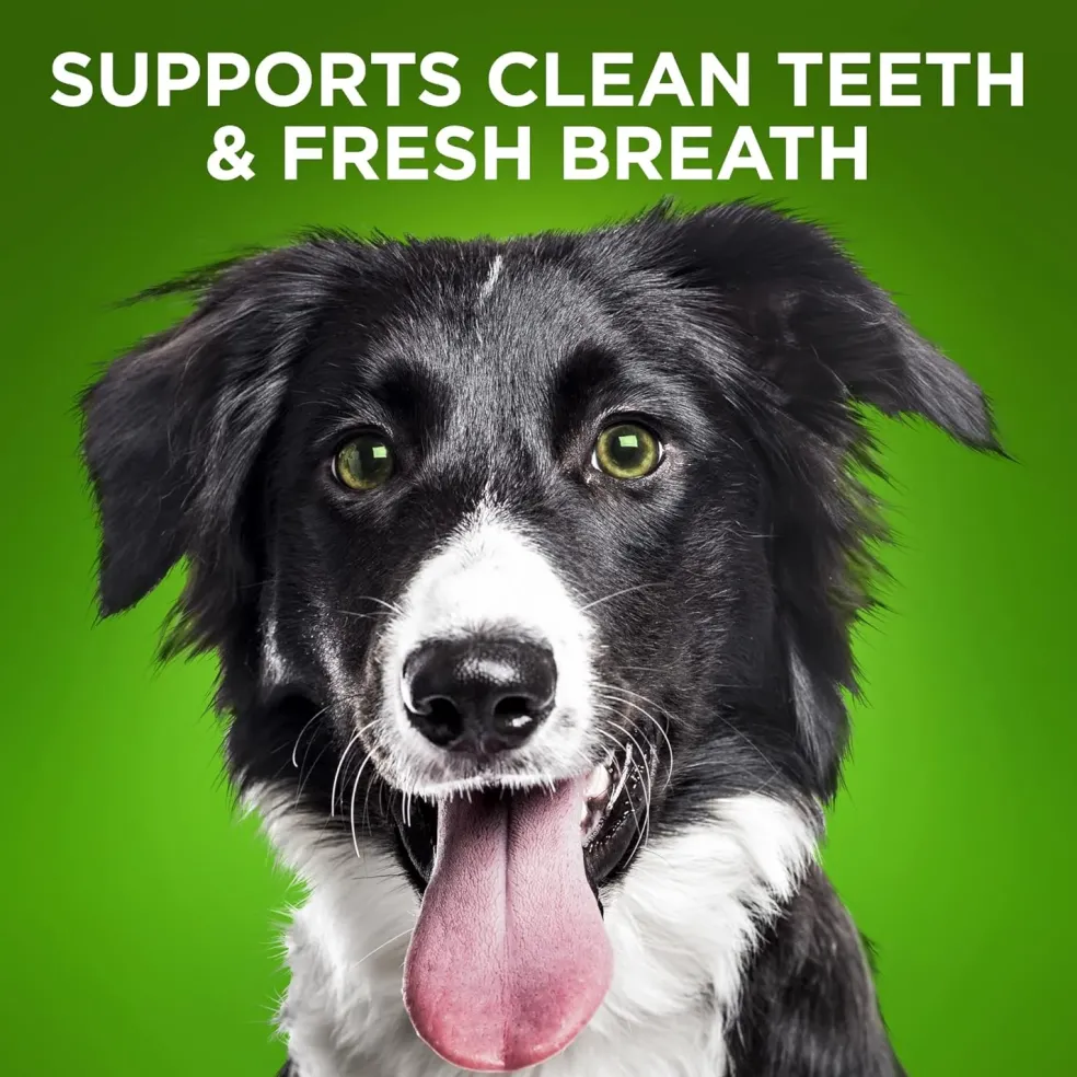 Fruitables BioActive Fresh Mouth Dental Chews For Medium Dogs (10 chews)