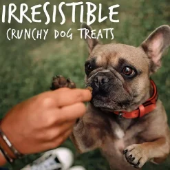 Fruitables Crispy Bacon & Apple Crunchy Dog Treats
