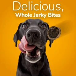 Fruitables Grilled Bison & Apple Whole Jerky Bites, 5-oz