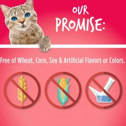 Fruitables Limited Ingredient Salmon with Cranberry Crunchy Treats For Cats