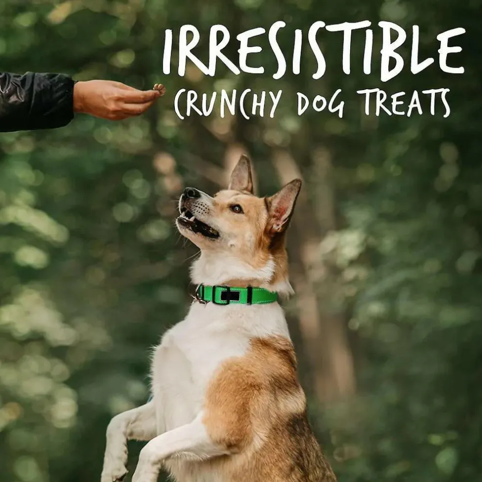 Fruitables Pumpkin & Apple Flavor Baked Dog Treats (7 oz)
