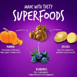 Fruitables Pumpkin & Blueberry Flavor Crunchy Dog Treats