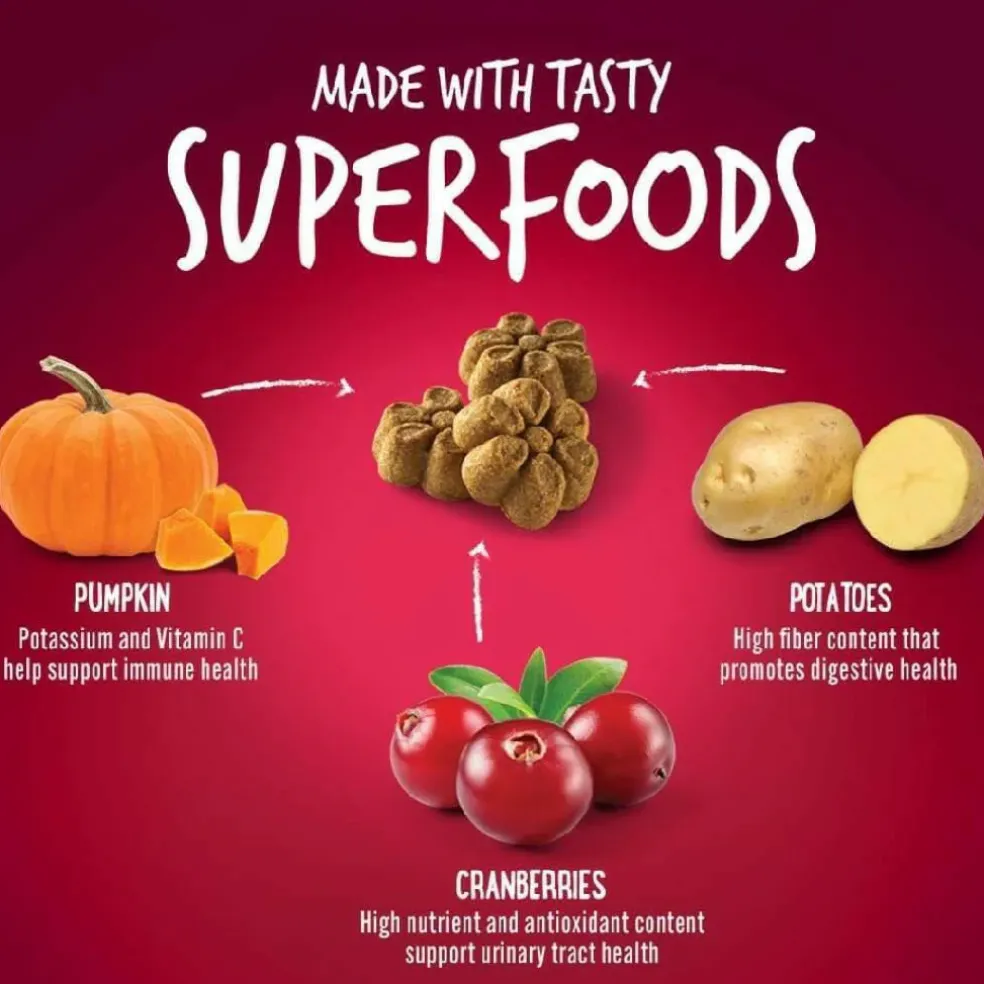 Fruitables Pumpkin & Cranberry Crunchy Dog Treats (7 oz)