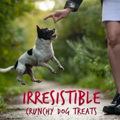 Fruitables Skinny Minis Apple Bacon Chewy Dog Treats (5 oz)