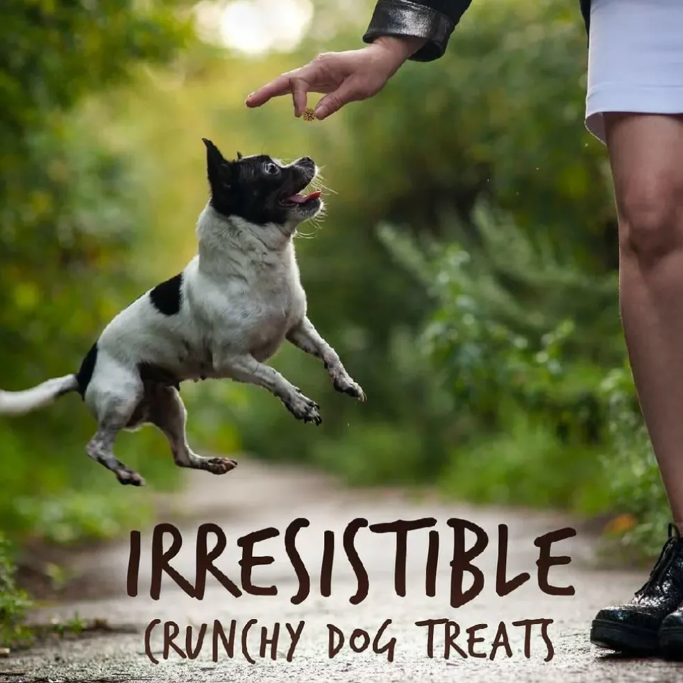 Fruitables Skinny Minis Grilled Bison Flavor Chewy Dog Treats