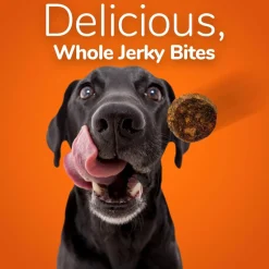 Fruitables Whole Jerky Bites Alaskan Salmon & Pear Treats For Dogs (5 oz)