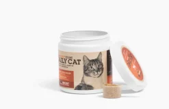 Fullbucket Daily Cat Probiotic Powder (87g, 30 servings)
