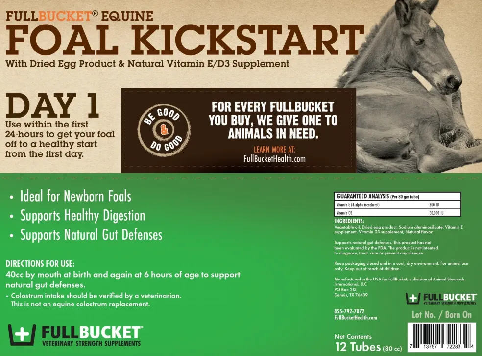 Fullbucket Foal Kick Start Paste (single tube)