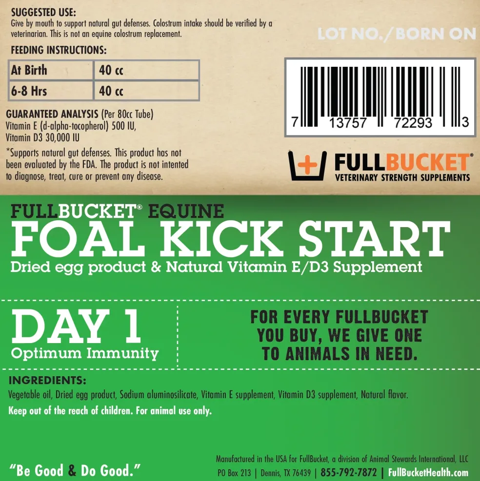 Fullbucket Foal Kick Start Paste (single tube)