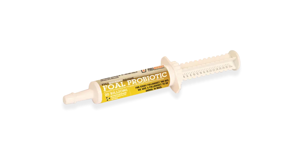 Fullbucket Foal Probiotic Paste (single tube)