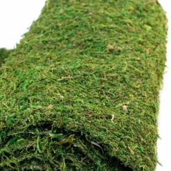 Galapagos CrashPad Mossy Terrarium Bedding Liner (18