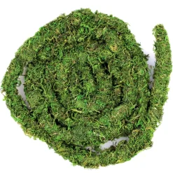 Galapagos MossVine for Hanging & Climbing (12 ft)