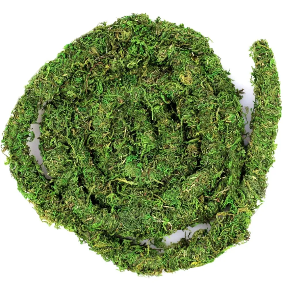 Galapagos MossVine for Hanging & Climbing (12 ft)