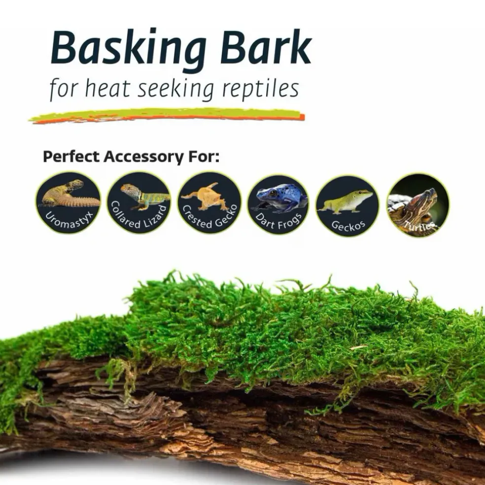 Galapagos Mossy Bark Terrarium for Retpiles & Amphibians Basking (1 piece)