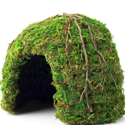 Galapagos Mossy Dome Terrarium Hideaway For Reptiles & Amphibians