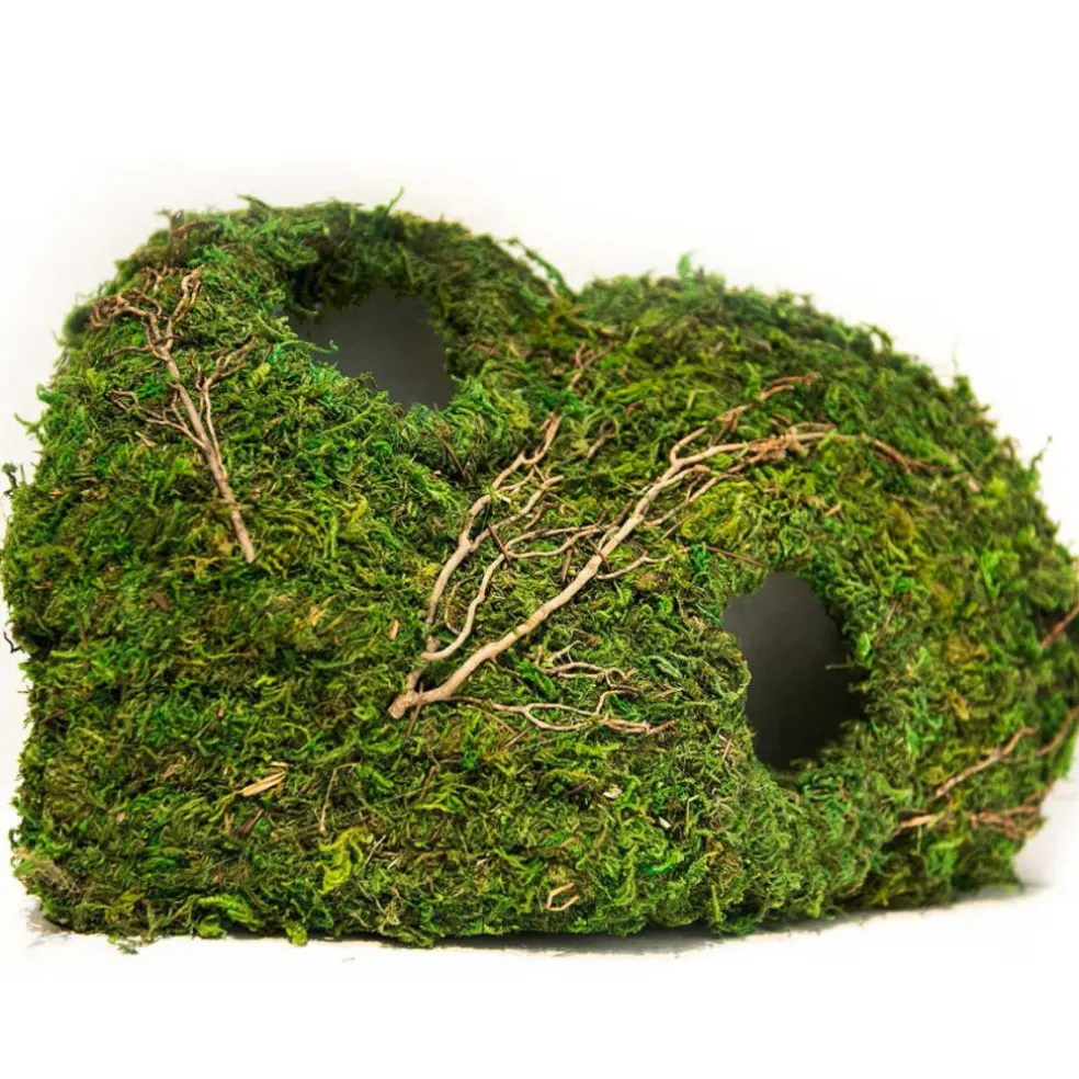 Galapagos Sapa Corner Hide Terrarium Hideaway (10 in)
