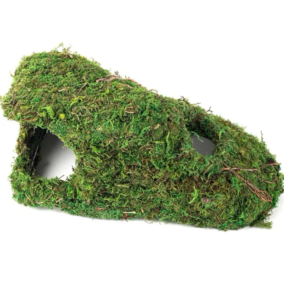 Galapagos Sapa Corner Hide Terrarium Hideaway (10 in)
