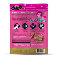 GivePet Astromutt Freeze-Dried Salmon Dog Treats (3 oz)