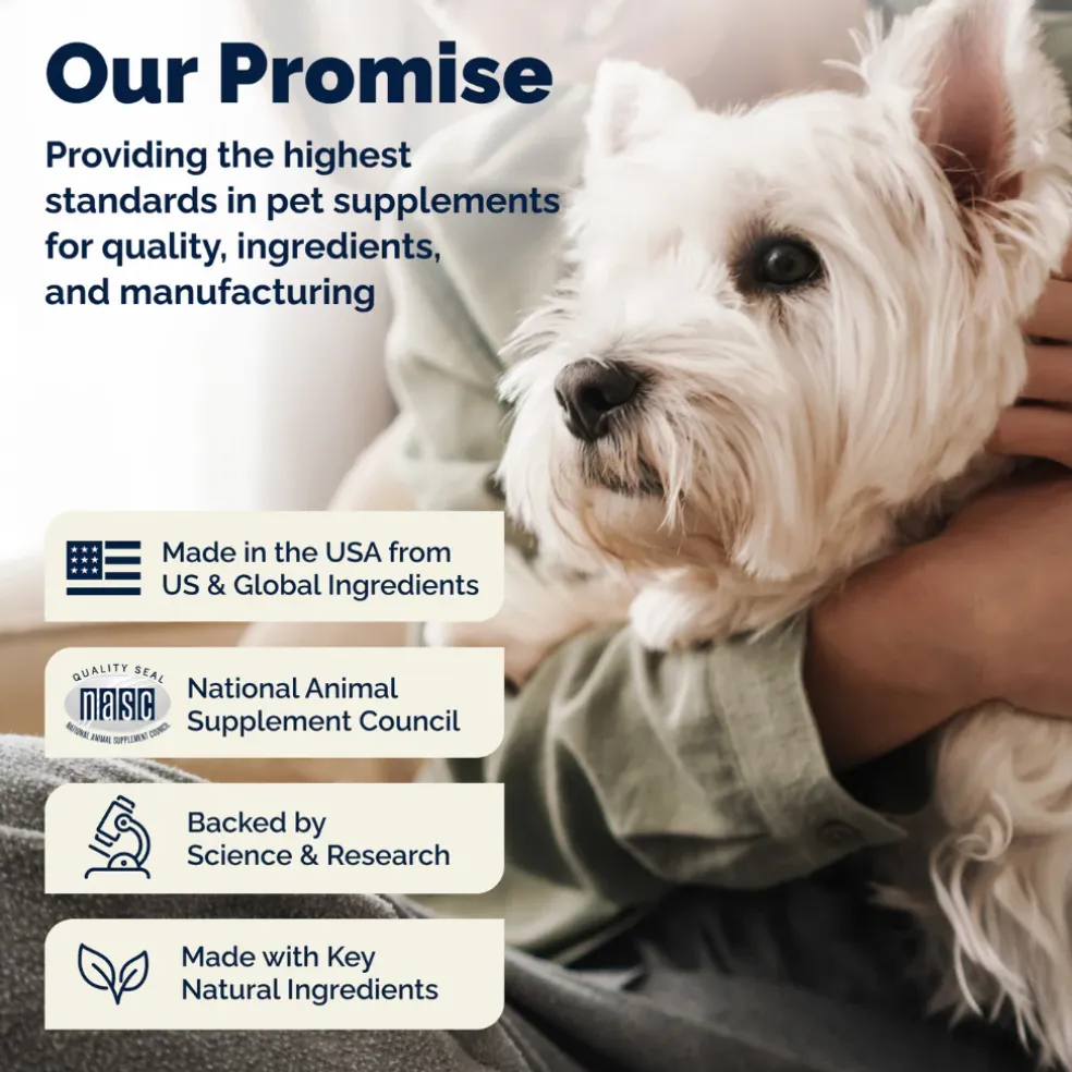 Glandex Advanced Vet Strength Anal Gland Health Wipes For Dogs & Cats, 50 ct