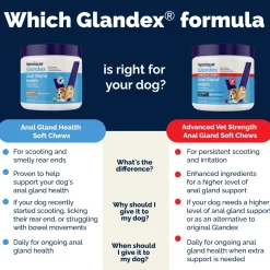 Glandex Anal Gland Support Bacon Flavored Soft Chews for Dogs